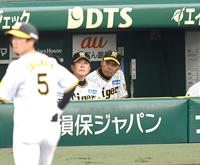 　２回、ベンチで厳しい表情の岡田監督（撮影・飯室逸平）