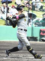 　８試合連続安打をマークした佐藤輝