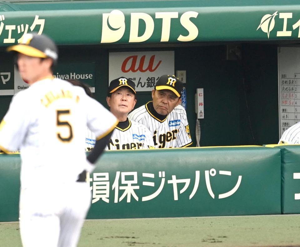 　２回、ベンチで厳しい表情の岡田監督（撮影・飯室逸平）