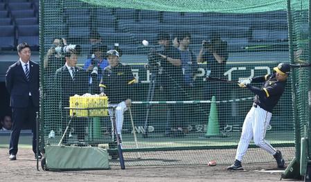 阪神　侍Ｊの井端監督が佐藤輝明のスイングに熱視線　岡田監督と談笑も　低迷する打線の起爆剤になれるか