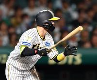 　８回、遊ゴロに倒れる中野