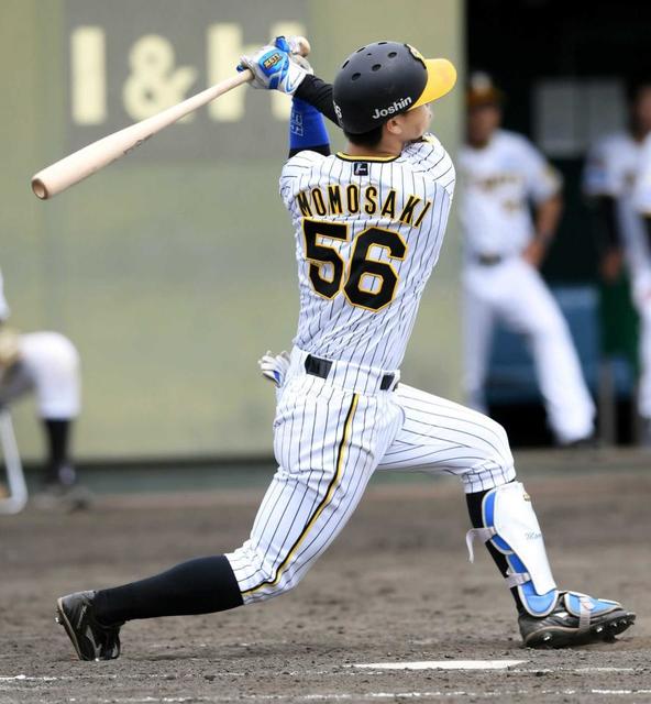 寅一さま専用   硬球  46球 寅一さま専用 硬球 46球 寅一さま専用 硬球 46球 寅一