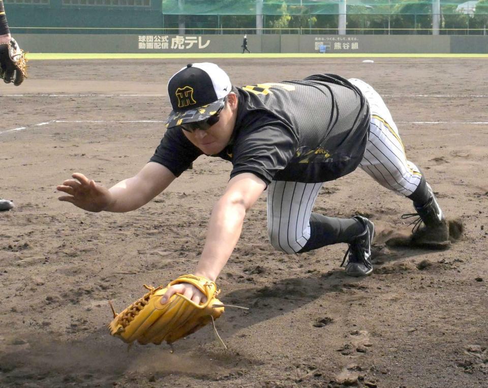 　試合後、特守で白球に飛び込む大山（撮影・金居みつよし）