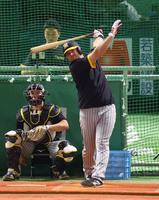 　１軍に合流し、打撃練習するノイジー（撮影・山口登）