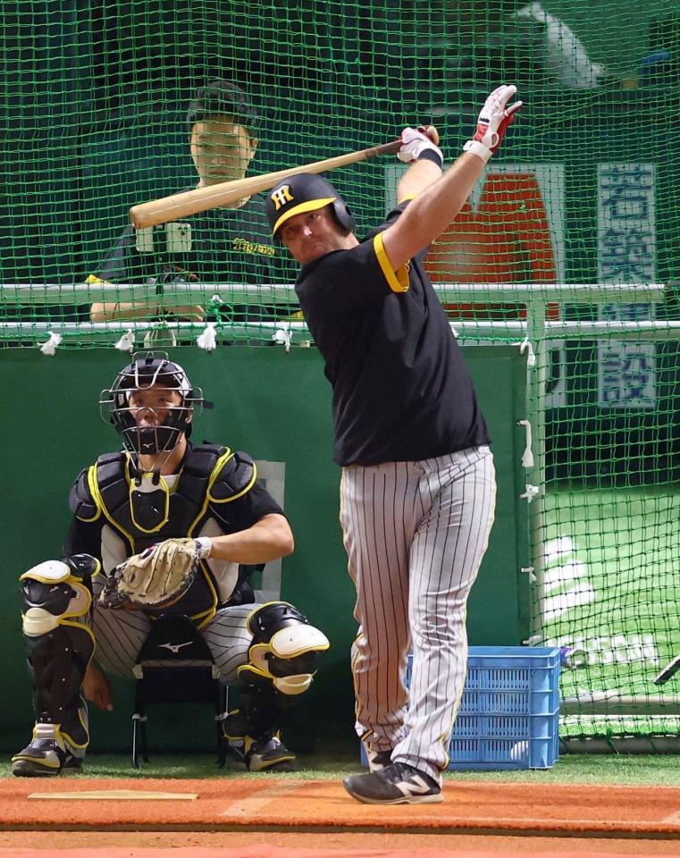 　１軍に合流し、打撃練習するノイジー（撮影・山口登）