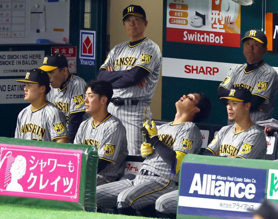 　５回、チャンで空振り三振に倒れ森下（右から２人目）はベンチで天を仰ぐ（撮影・山口登）