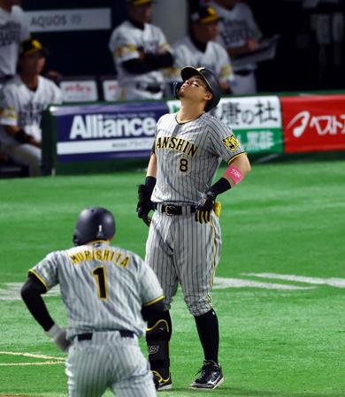 　８回、佐藤輝は左飛に倒れ天を仰ぐ（撮影・山口登）