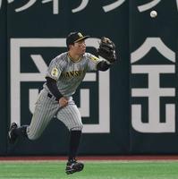 　５回、今宮の打球をファンブルする森下（撮影・田中太一）