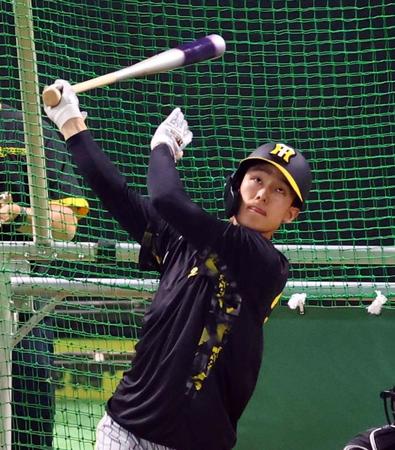 　打撃練習する小幡（撮影・山口登）