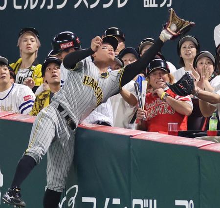 阪神　森下が神業キャッチ！身を乗り出しファンが差し出すグラブの上でガッチリ　スタンドは大きな拍手