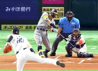 　１回、右前打を放つ佐藤輝。投手・石川（撮影・山口登）