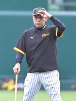 　試合前練習を見る岡田監督（撮影・北村雅宏）