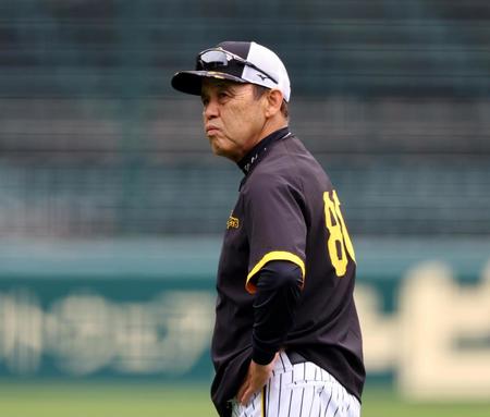 　練習を見守る岡田監督（撮影・山口登）