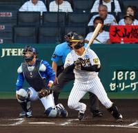 　２回、右前打を放つ大山（撮影・山口登）