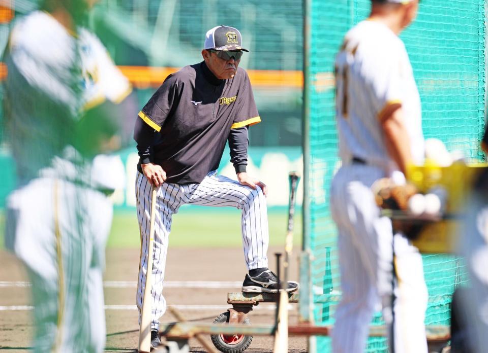 　打撃練習を見守る岡田監督（撮影・立川洋一郎）