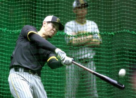 　打撃練習をする佐藤輝（撮影・田中太一）