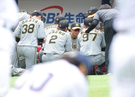 　試合前円陣で声出しする近本（左から４人目）＝撮影・西岡正