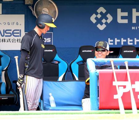 　岡田監督（右）と話す近本（撮影・西岡正）