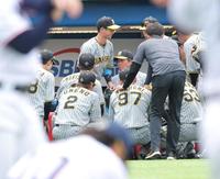 　試合前円陣で声出しする近本（中央）＝撮影・西岡正