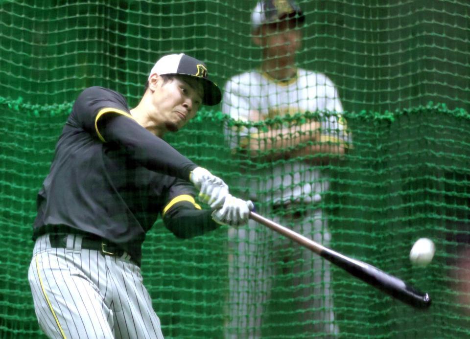 　打撃練習をする佐藤輝（撮影・田中太一）