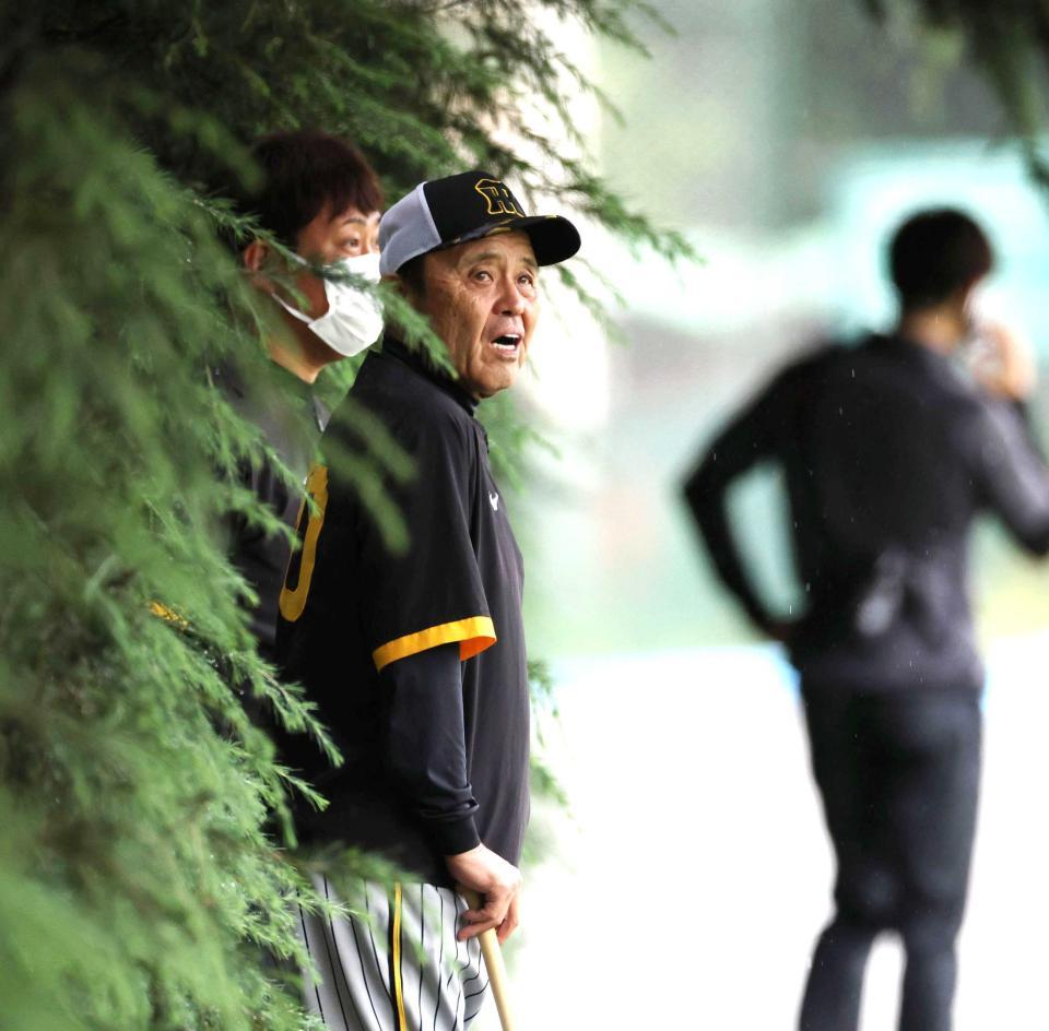 　練習の合間に降りしきる雨を見つめる岡田監督