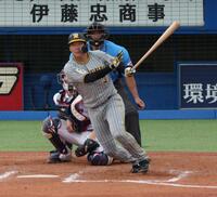 　７回、中前適時打を放つ大山（撮影・金田祐二）