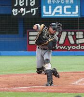 　３回、オスナのときボールをこぼしたすきに二塁を狙う一走・宮本をアウトにする梅野（撮影・金田祐二）