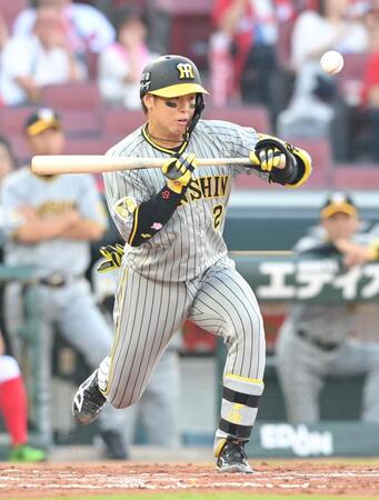 　２回、送りバントを決めた梅野（撮影・市尻達拡）