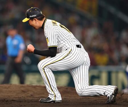 　９回、佐野を打ち取りガッツポーズを決める岩崎（撮影・山口登）