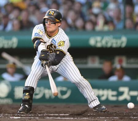 　１回、空振り三振に倒れる前川（撮影・田中太一）