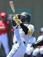 　４回、本塁打を放つ森下（撮影・石井剣太郎）