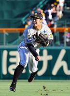 　シートノックで軽快な動きを見せる豊田（撮影・山口登）