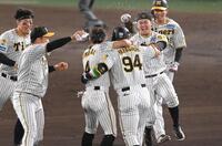 　サヨナラでの劇的な勝利、原口の元に駆け寄る野口ら阪神ナイン（撮影・飯室逸平）