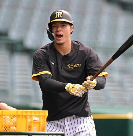 　風もなく涼しいドーム６連戦での爆発を誓った佐藤輝