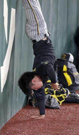 　逆立ちする石黒（撮影・金田祐二）