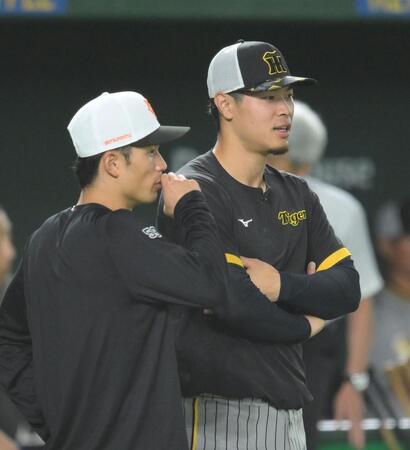 　試合前、若林（左）と談笑する佐藤輝（撮影・伊藤笙子）