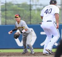 　３回、池田の打球をさばく遊撃手・木浪（撮影・立川洋一郎）