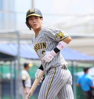 　１回、左飛に終わってベンチへ引き揚げる木浪（撮影・立川洋一郎）