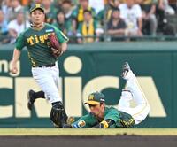 　１回、野間の飛球を好捕する近本（撮影・北村雅宏）