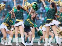 　タイガースガールズと一緒にダンスを披露する川上千尋（中央）＝撮影・立川洋一郎