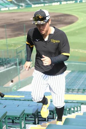 　階段を駆け上がる佐藤輝（撮影・石井剣太郎）