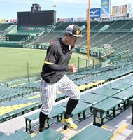 　階段ダッシュを行う佐藤輝（撮影・北村雅宏）