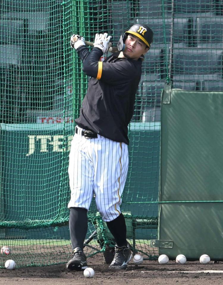 　打撃練習する佐藤輝（撮影・石井剣太郎）