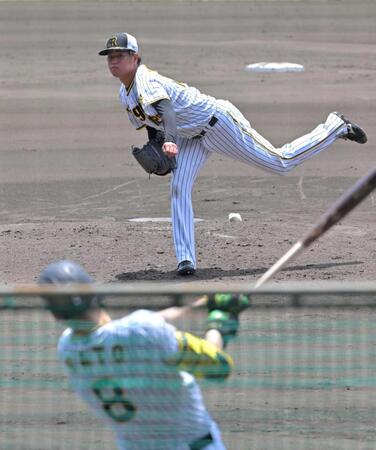 　シート打撃で佐藤輝（８）相手に投げ込む高橋（撮影・北村雅宏）