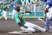 　１回、森下の適時打で生還する近本（撮影・田中太一）