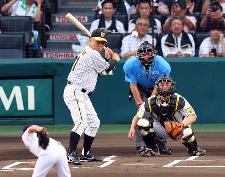 　打席に立つ掛布雅之氏（撮影・山口登）