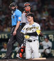 　７回、険しい顔で平内を見る森下。奥は岸田（撮影・田中太一）