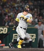 　６回、適時打を放つ佐藤輝（撮影・石井剣太郎）