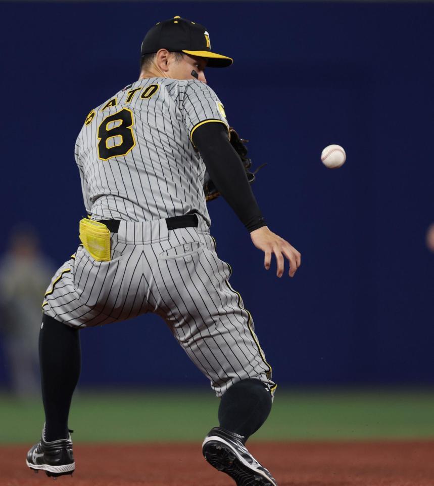 　５回、松尾の打球を捕る佐藤輝（撮影・田中太一）