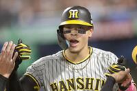 　３回、２ランを放った佐藤輝はナインに迎えられる（撮影・田中太一）